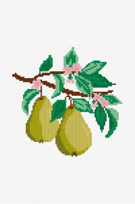 Pears - Pattern