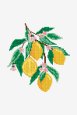 Lemons - Pattern thumbnail