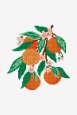 Oranges - Motif de point de croix thumbnail