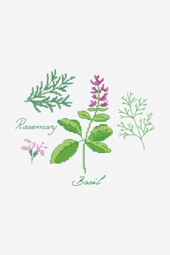 Herbs - Basil