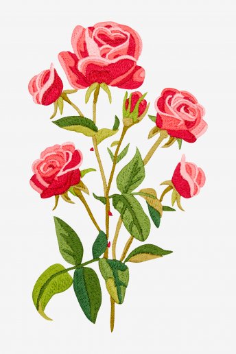 Roses - embroidery