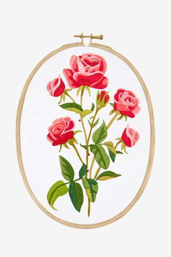 Roses - embroidery