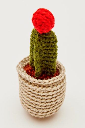 Cactus della luna - Amigurumi