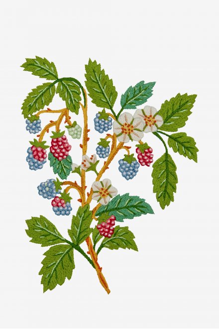 Raspberries - Pattern