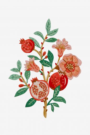 Pomegranate - Pattern