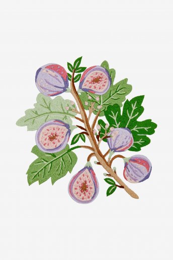 Figs - Pattern