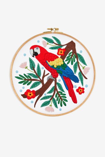 Macaw - Pattern
