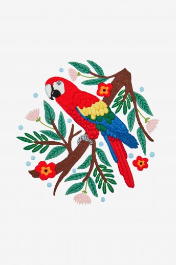 Macaw - Pattern