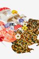 Toadstool - Pattern thumbnail