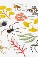 Woodland Spiders - Pattern thumbnail