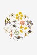 Woodland Spiders - Pattern thumbnail