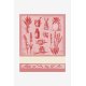 HERBS PATTERN STITCHABLE TOWEL  ROUGE